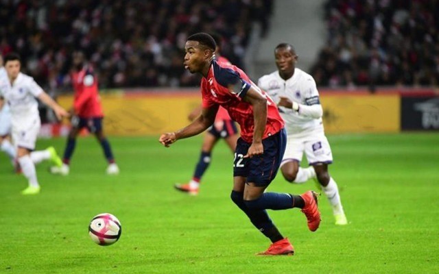 敏锐判断能 敏锐判断能