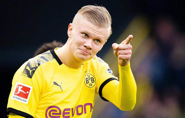 动与应急预 动与应急预