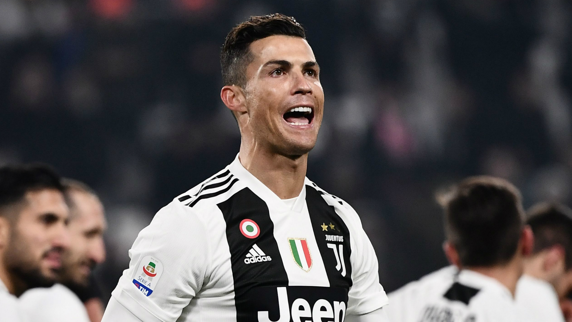 这样的样本 这样的样本